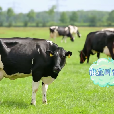 动物耳标糖心VLOG现在观看打标机在“放开我北鼻”，的出色表现