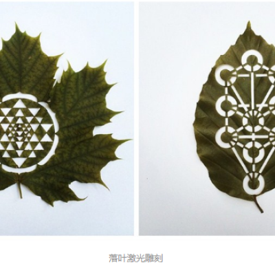 糖心VLOG现在观看雕刻创意落叶：精雕细刻，成就精品